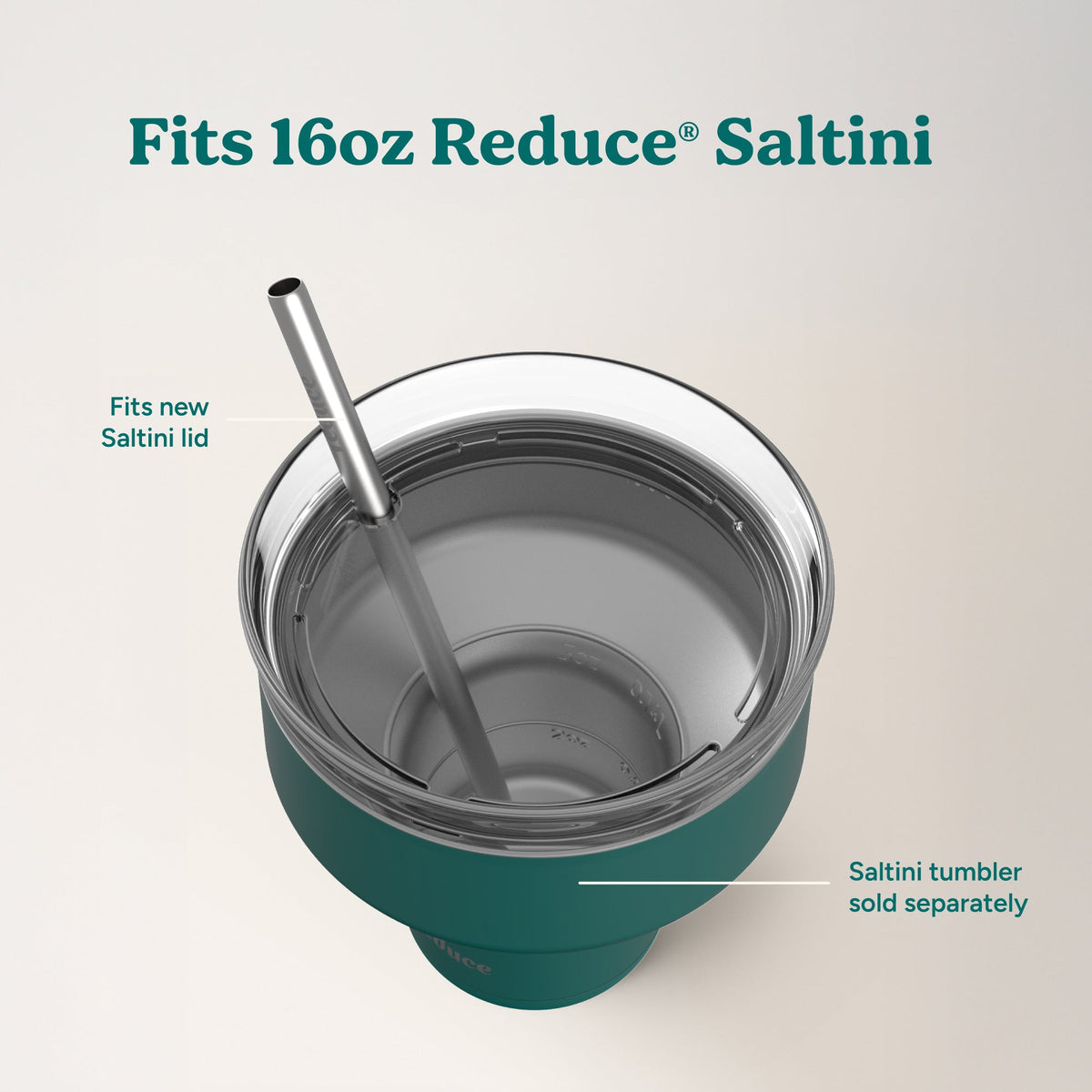 saltini-straw-set-t7 4PK_SaltiniStraws_SS-4.jpg